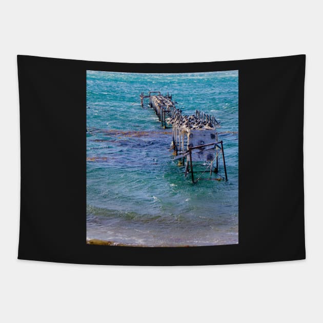 lli days gone bye Tapestry by pcfyi