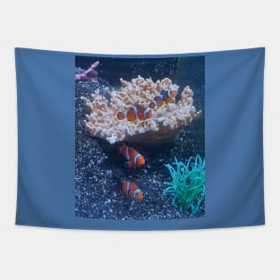 Clownfish Tapestry