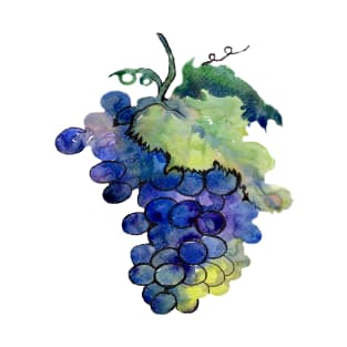 grapes growing for wine T-Shirt