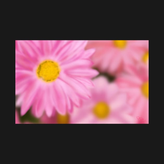 Airbrushed Pink Flowers by tooner96