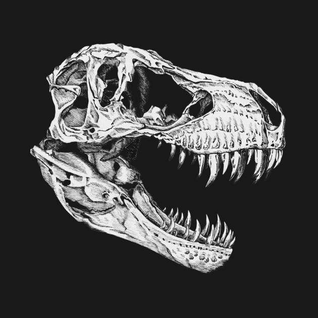 T-Rex Skull by Tinker and Bone Studio