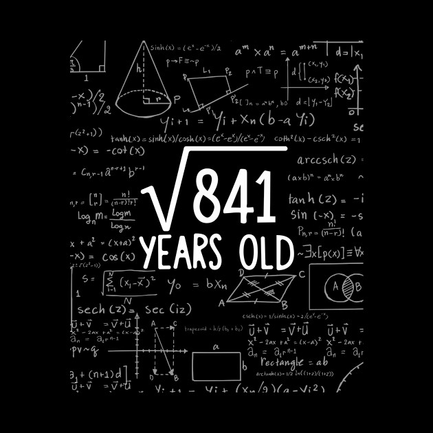 Square Root of 841: 29th Birthday 29 Years Old T-Shirt - Years Old - Phone Case