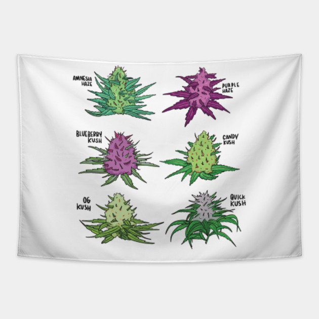 Marijuana And Cannabis Strains Funny Weed Lovers Gift Funny Weed Tapestry Teepublic Au