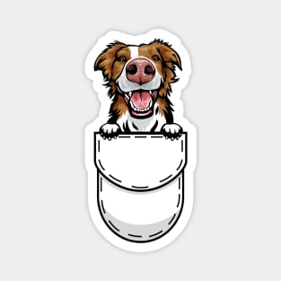 Funny Border Collie Pocket Dog Magnet