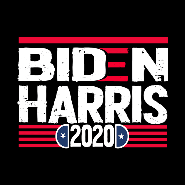 Biden Harris 2020 by Netcam