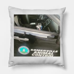 Charlie Animal Control Pillow