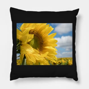 The Sunflower Pillow