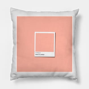 Wax Flower Color Pillow