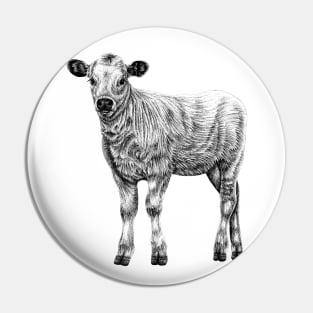 Baby White Park cow - calf ink illustration Pin