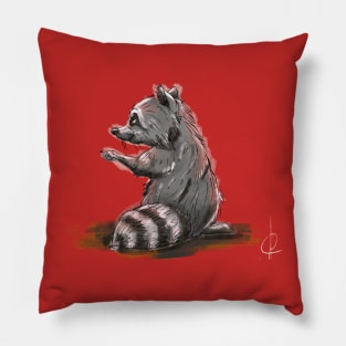 The Coon Pillow