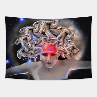 Medusa Tapestry