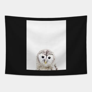 Baby owl, Nursery, Owl, Animal, Kids room, Modern art, Wall decor Tapestry