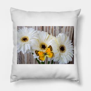 Dogface Butterfly Resting On White Daisy Pillow