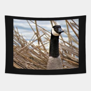 Canada Goose No.5 Tapestry