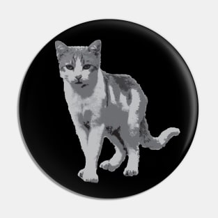 Grey room tiger Pin