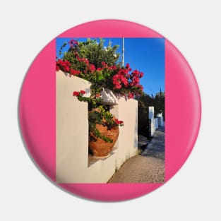 Bright Greek flowers Pin