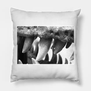 Big teeth! Pillow