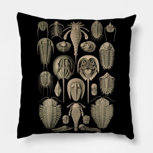 Ernst Haeckel Aspidonia Pillow