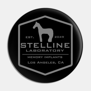 Stelline lab. Pin