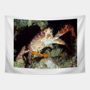 Caribbean Hairy Clinging Crab Tapestry