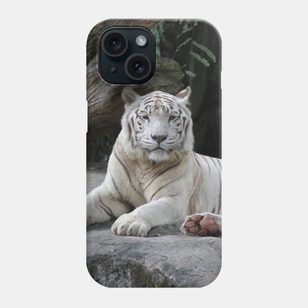 White Tiger 3 Phone Case by LeanneAllen