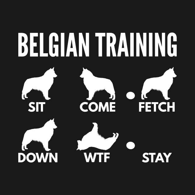 Belgian Training Belgian Sheepdog Tricks by DoggyStyles