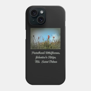 paintbrush wildflowers, Johnston's Ridge Phone Case