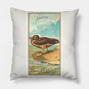 Albatross Pillow