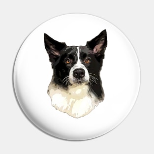 Border Collie Cuteness! Pin