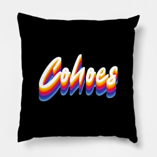 Cohoes Pillow