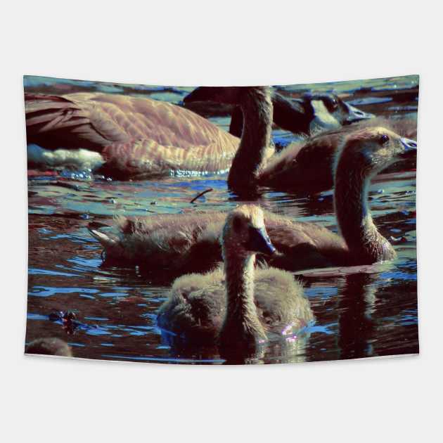 Baby Geese Tapestry by saradaboru