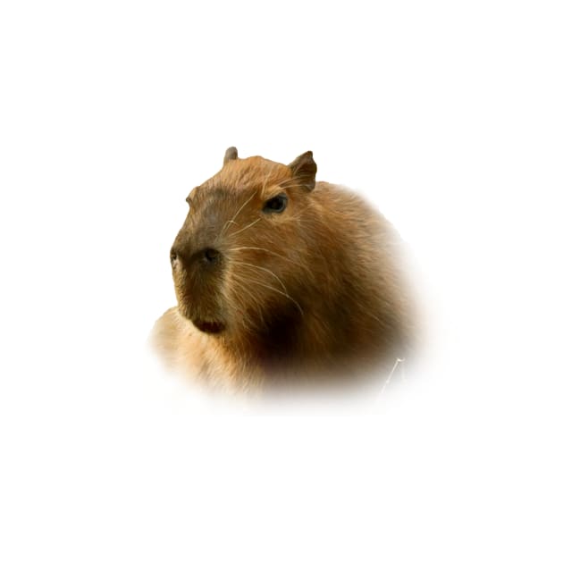 Capybara by Guardi