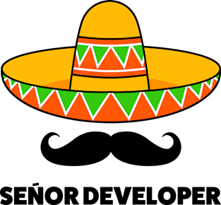 Senior Developer Magnet