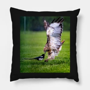 Red Tail Hawk About to Strike Pillow