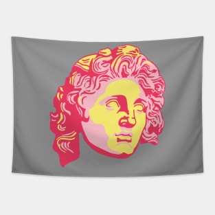 Alexander the Great Bubblegum Tapestry