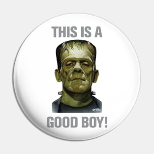 This is a good boy! Pin