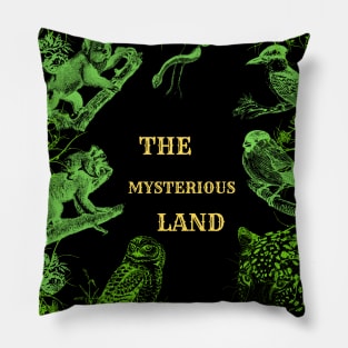 The mysterious land Pillow