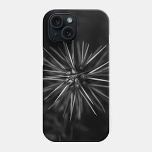 Photograph - Natural Symmetry: An Artistic View of a Spiky Plant Phone Case