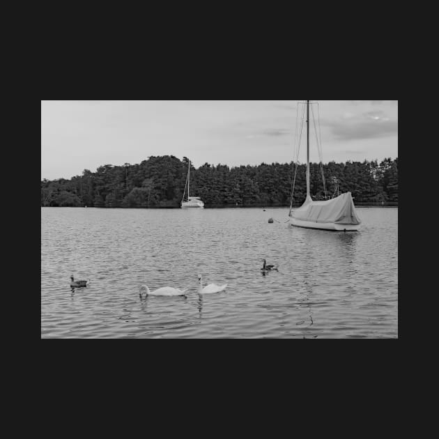 Wroxham Broad in the Norfolk Broads National Park by yackers1