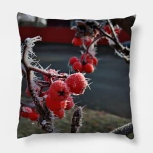 Frosty Mountain Ash Berries on a Cold November Morning Pillow