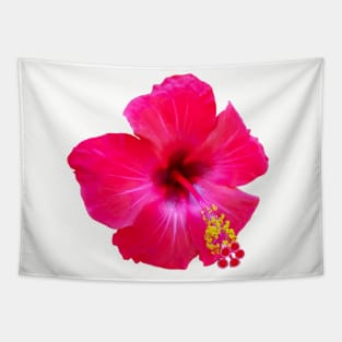 Red Hibiscus Floral Photo Beach Vibe Tapestry