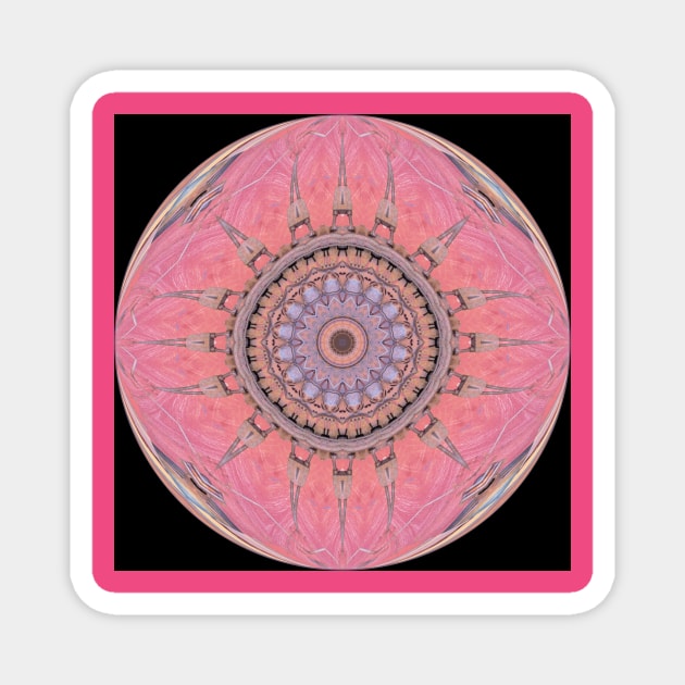 Pink eye Magnet by Geo Nature