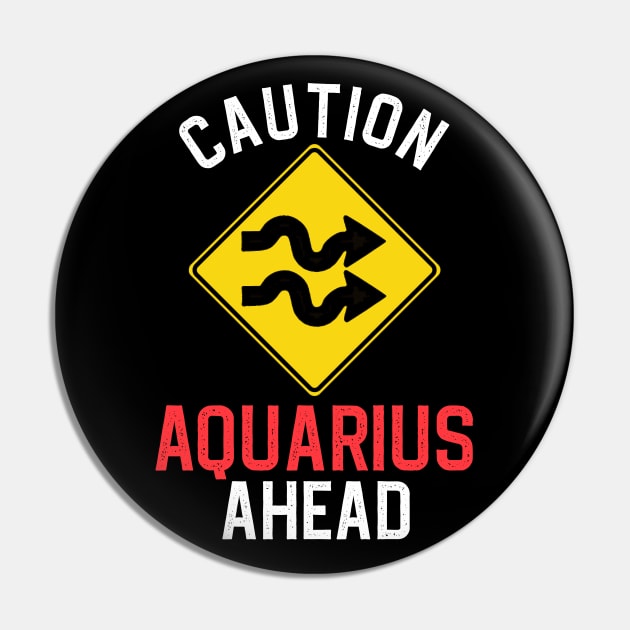 Funny Zodiac Horoscope Aquarius Road Sign Traffic Signal Pin by WitchNitch