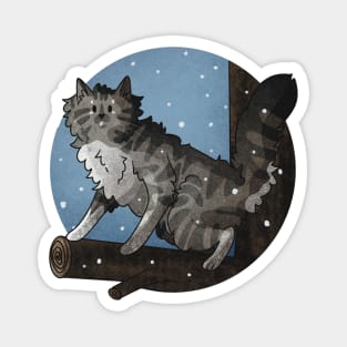 Grey Norwegian Forest Cat Climbing a Tree Magnet