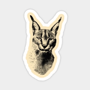 Caracal cat Magnet