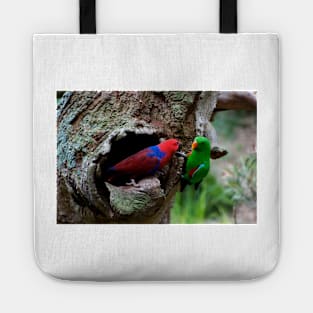 Pair Of Eclectus At The Nest Tote