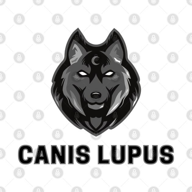 Canis lupus by SilentCreations