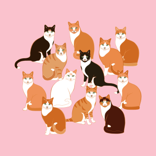 Ginger Cats on pink T-Shirt