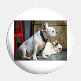 Two dogs Pin