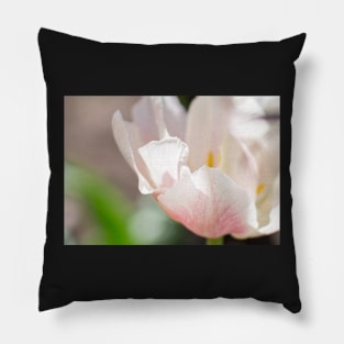 White and rose tulip Pillow